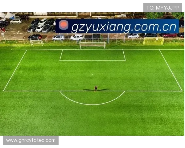 体育直播的网址导航：便捷观看各类体育比赛的官方直播平台介绍