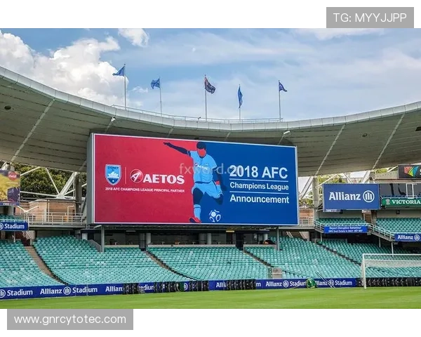 半岛体育在线官网的合作伙伴和广告资源介绍，助力平台内容丰富多样