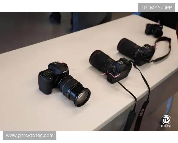 如何快速登录M6体育入口全站平台实现实时体育赛事观看与互动 如何快速登录M6体育入口全站平台实现实时体育赛事观看与互动