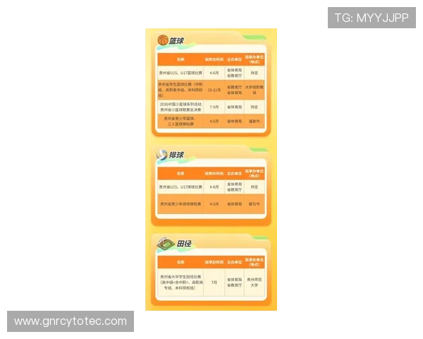m6体育平台最新赛事直播与高清回放全面解析助你掌握第一手体育资讯