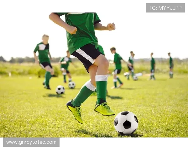 利用好博体育中国官网进行体育竞猜的技巧与风险控制策略分析